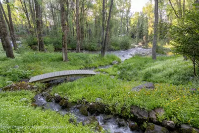 115 Neale Avenue, Aspen, CO 81611 - Photo 29