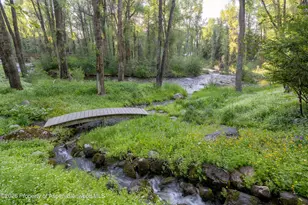 115 Neale Ave, Aspen, CO 81611 - Photo 29