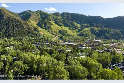 115 Neale Avenue, Aspen, CO 81611 - Photo 35