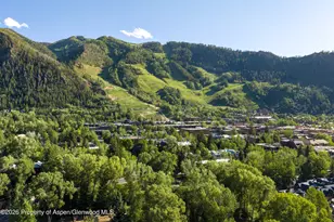 115 Neale Ave, Aspen, CO 81611 - Photo 35