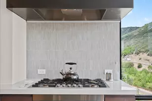 45 Wood Rd, Snowmass Village, CO 81615 - Photo 11