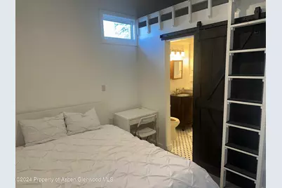 560 Spruce Street, Aspen, CO 81611 - Photo 29