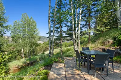 372 Sunnyside Lane, Aspen, CO 81611 - Photo 45