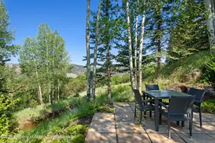 372 Sunnyside Ln, Aspen, CO 81611 - Photo 45