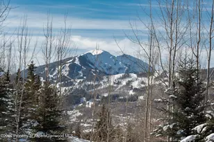 372 Sunnyside Ln, Aspen, CO 81611 - Photo 57
