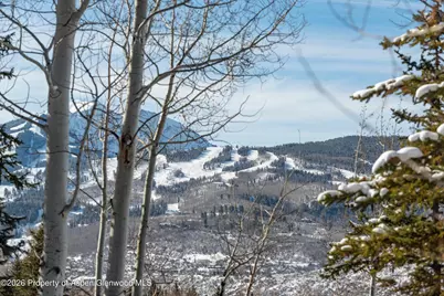 372 Sunnyside Lane, Aspen, CO 81611 - Photo 59