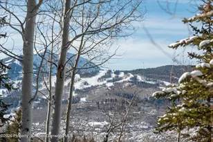 372 Sunnyside Ln, Aspen, CO 81611 - Photo 59