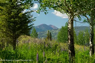 372 Sunnyside Ln, Aspen, CO 81611 - Photo 51