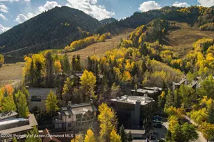 660 S Galena St, Aspen, CO 81611 - Photo 25
