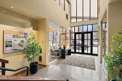 311 Main Street #201, Carbondale, CO 81623 - Photo 3