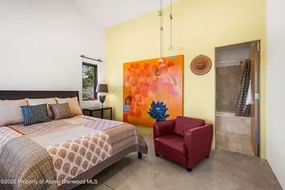 7455 County Road 100, Carbondale, CO 81623 - Photo 29