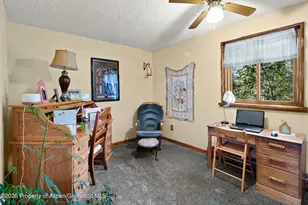 35 Deer Park Ct, Glenwood Springs, CO 81601 - Photo 17
