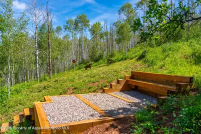 542 Carroll Drive, Aspen, CO 81611 - Photo 49