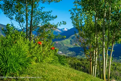 542 Carroll Drive, Aspen, CO 81611 - Photo 21