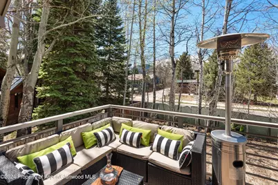725 Castle Creek Drive, Aspen, CO 81611 - Photo 27