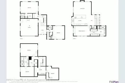 725 Castle Creek Drive, Aspen, CO 81611 - Photo 29