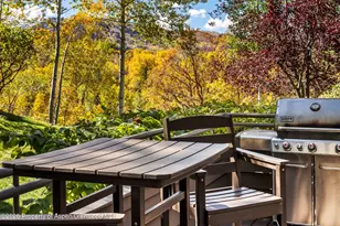 100 N 8th St, Aspen, CO 81611 - Photo 19