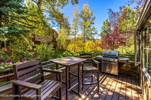 100 N 8th St, Aspen, CO 81611 - Photo 17