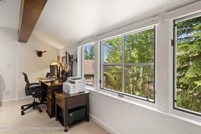 100 N 8th Street #19, Aspen, CO 81611 - Photo 21