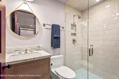 614 W North Street, Aspen, CO 81611 - Photo 17