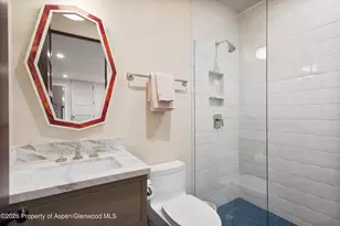 614 W North St, Aspen, CO 81611 - Photo 15