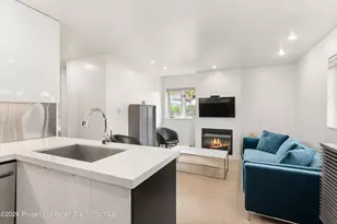 805 E Cooper Ave, Aspen, CO 81611 - Photo 7