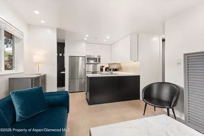805 E Cooper Avenue #2, Aspen, CO 81611 - Photo 3