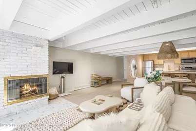901 E Hyman Avenue #14, Aspen, CO 81611 - Photo 3