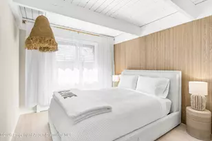 901 E Hyman Ave, Aspen, CO 81611 - Photo 11