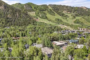 901 E Hyman Ave, Aspen, CO 81611 - Photo 13