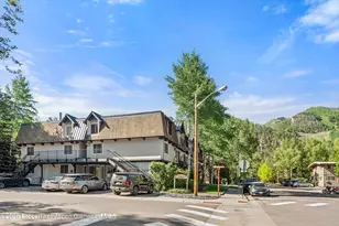 901 E Hyman Ave, Aspen, CO 81611 - Photo 15