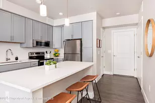 253 Wulfsohn Rd, Glenwood Springs, CO 81601 - Photo 19