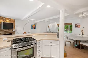 960 E Durant Ave, Aspen, CO 81611 - Photo 19
