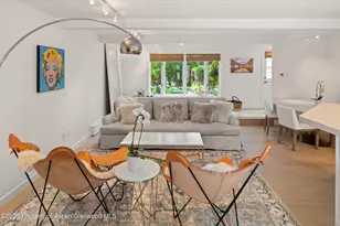 960 E Durant Ave, Aspen, CO 81611 - Photo 13