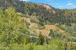 96 McSkimming Rd, Aspen, CO 81611 - Photo 19