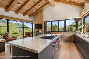 96 McSkimming Rd, Aspen, CO 81611 - Photo 13