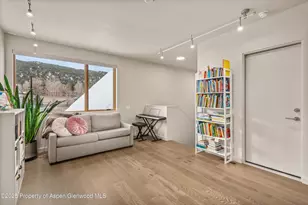 113 Valley Ct, Basalt, CO 81621 - Photo 23