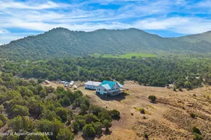 50208 Coon Creek Rd, Mesa, CO 81643 - Photo 27