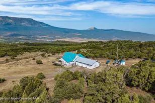 50208 Coon Creek Rd, Mesa, CO 81643 - Photo 5