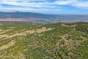 50208 Coon Creek Rd, Mesa, CO 81643 - Photo 29