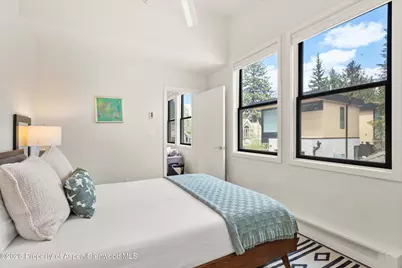 220 W Main Street #201, Aspen, CO 81611 - Photo 7