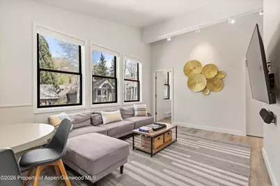 220 W Main Street #201, Aspen, CO 81611 - Photo 3