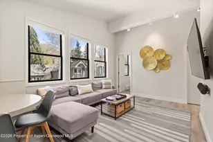 220 W Main St, Aspen, CO 81611 - Photo 3
