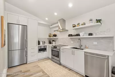 220 W Main Street #201, Aspen, CO 81611 - Photo 5