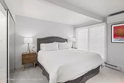 630 E Cooper Avenue #2, Aspen, CO 81611 - Photo 5
