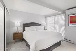 630 E Cooper Ave, Aspen, CO 81611 - Photo 5