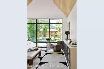 810 W Smuggler Street, Aspen, CO 81611 - Photo 21