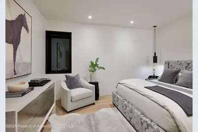 810 W Smuggler Street, Aspen, CO 81611 - Photo 45
