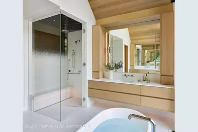 810 W Smuggler Street, Aspen, CO 81611 - Photo 27