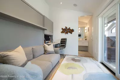 950 E Durant Avenue #4, Aspen, CO 81611 - Photo 23